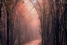 华体会：马尔基尼奥斯：很久没赢阿根廷了，与他们的比赛都是决赛.