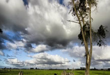 每体：奥斯梅恩和DV9都被推荐给巴萨，但两笔转会都不太可能.